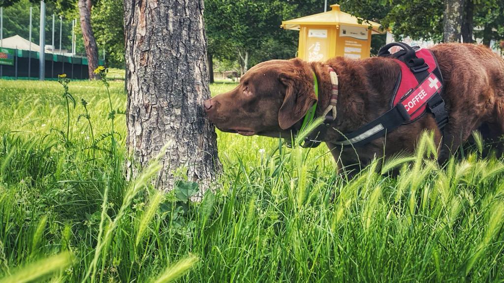 Coffe im Einsatz2 Coffe im Einsatz2