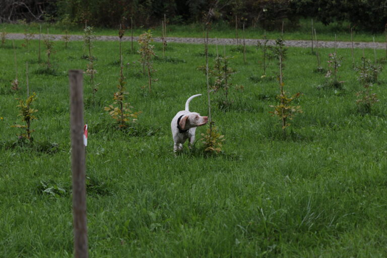 Qualitätsprüfung an der WSL